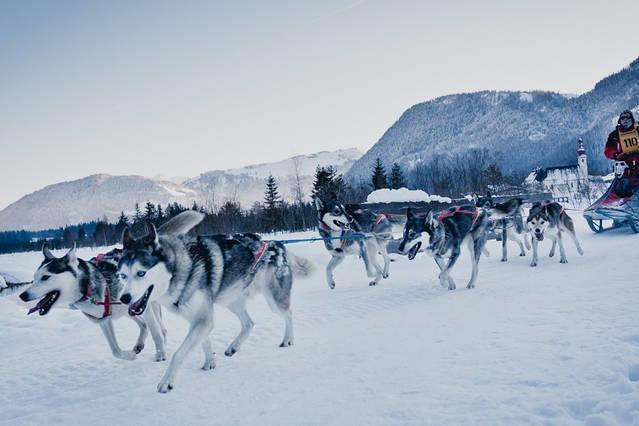 Zu Hause In Tirol Villa Kirchbichl Dış mekan fotoğraf